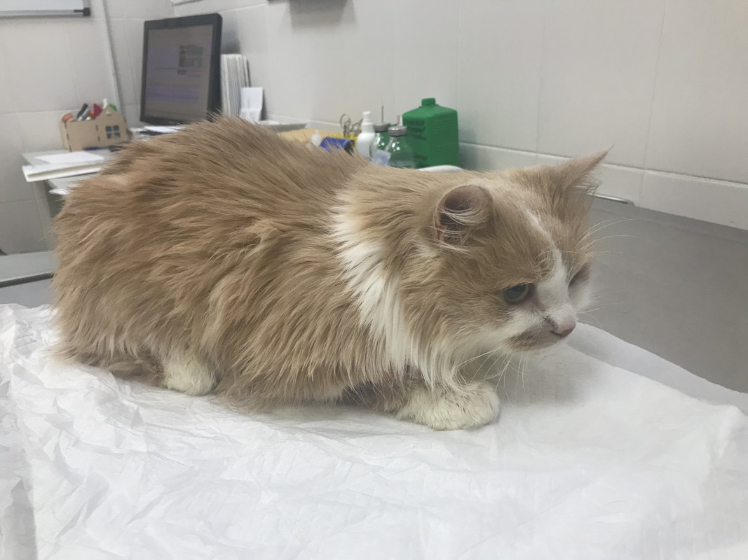 A1729D1F-F996-428D-9A68-A55A5EC3FEED