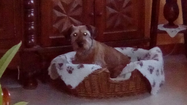 [Image: image15922483338431.jpg]