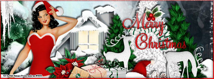 SnowSexyBanner