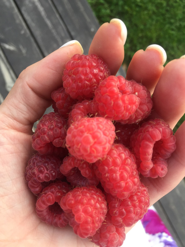 E96AC3DE-63C8-42A9-8325-132E6CE0449F