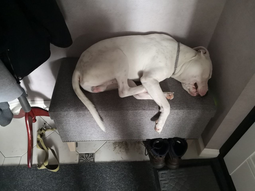 E25F083B-2828-4899-A736-87C0DA55B1E2