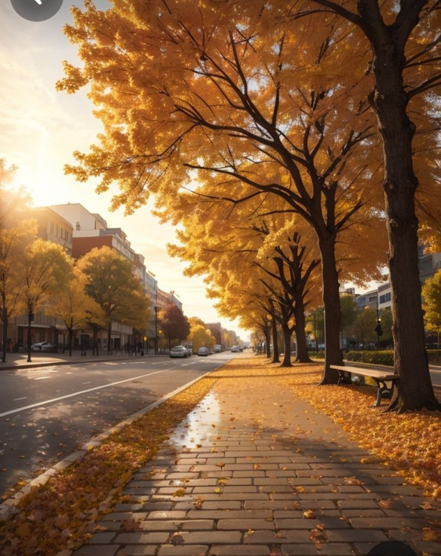 Screenshot_20240131_210109_Pinterest