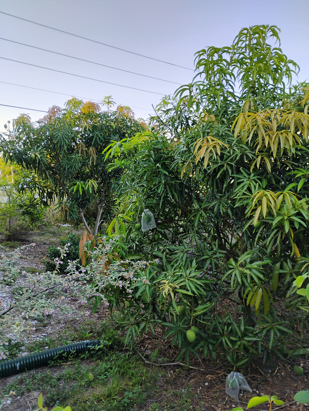 IMG 20260515 193500275 HDR