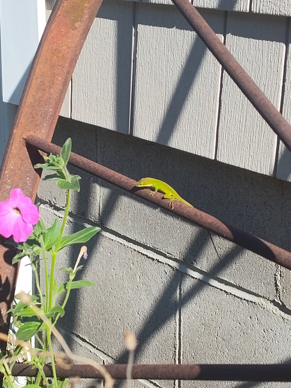 IMG_20251012_161119027