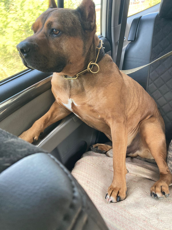 9A05170F-FE74-4788-92F9-593E4697073B