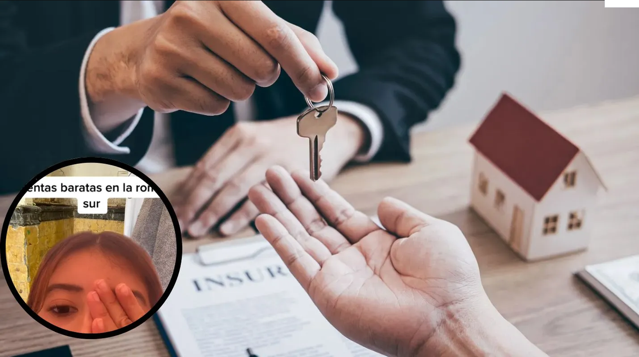 Chica revela que rentar en la colonia Roma no es tan bonito como parece; hay chinches