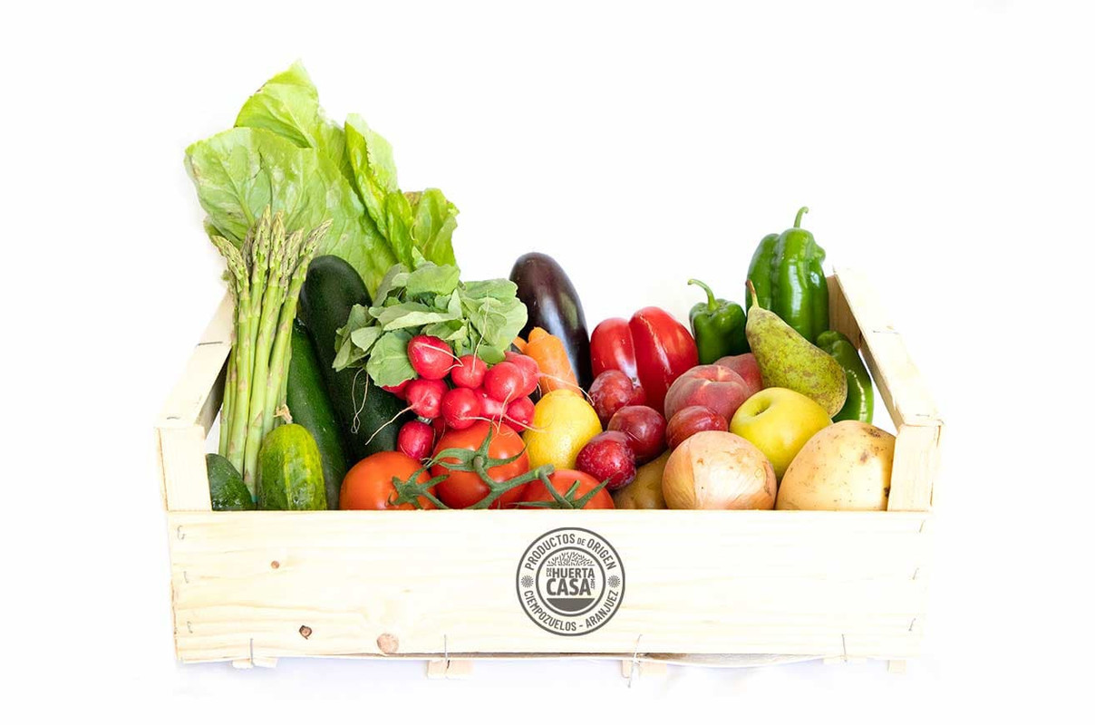 Semillas de rápida germinación para tu huerto casero