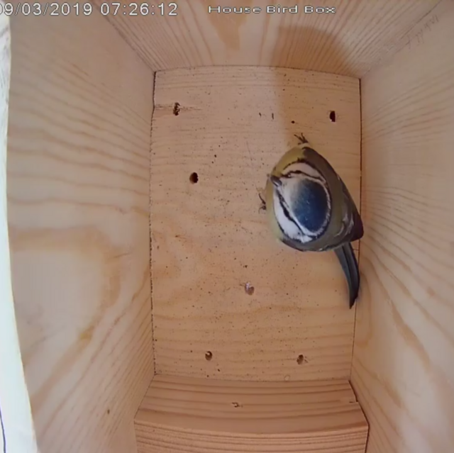 175AD425-407B-4FE2-B9DE-0B1F8FE905CD