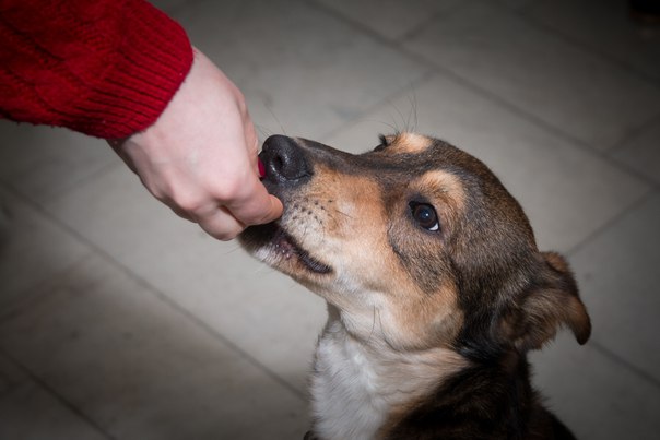 4C57C3E9-8F24-448E-951D-7AAD480246C1