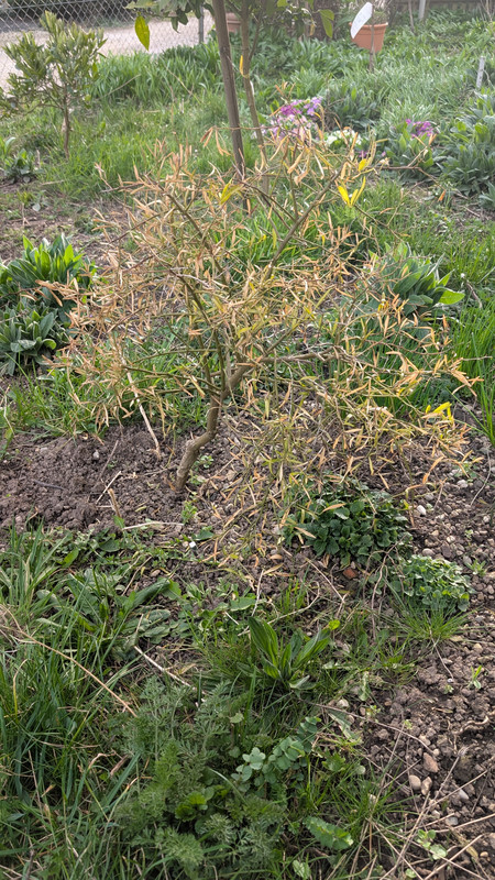 PXL_20250327_160836081.MP