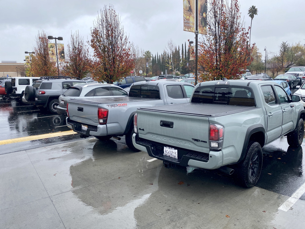 lunar rock tacoma vs cement lunar rock tacoma vs cement