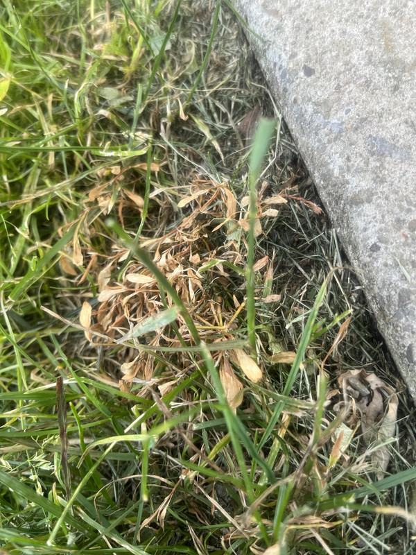 AEF1C0C8-AD18-453B-97D6-2617C7AA0A81