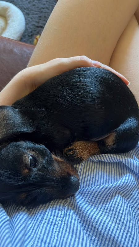 DE359F6E-F219-40F5-998A-1455CD75CD90