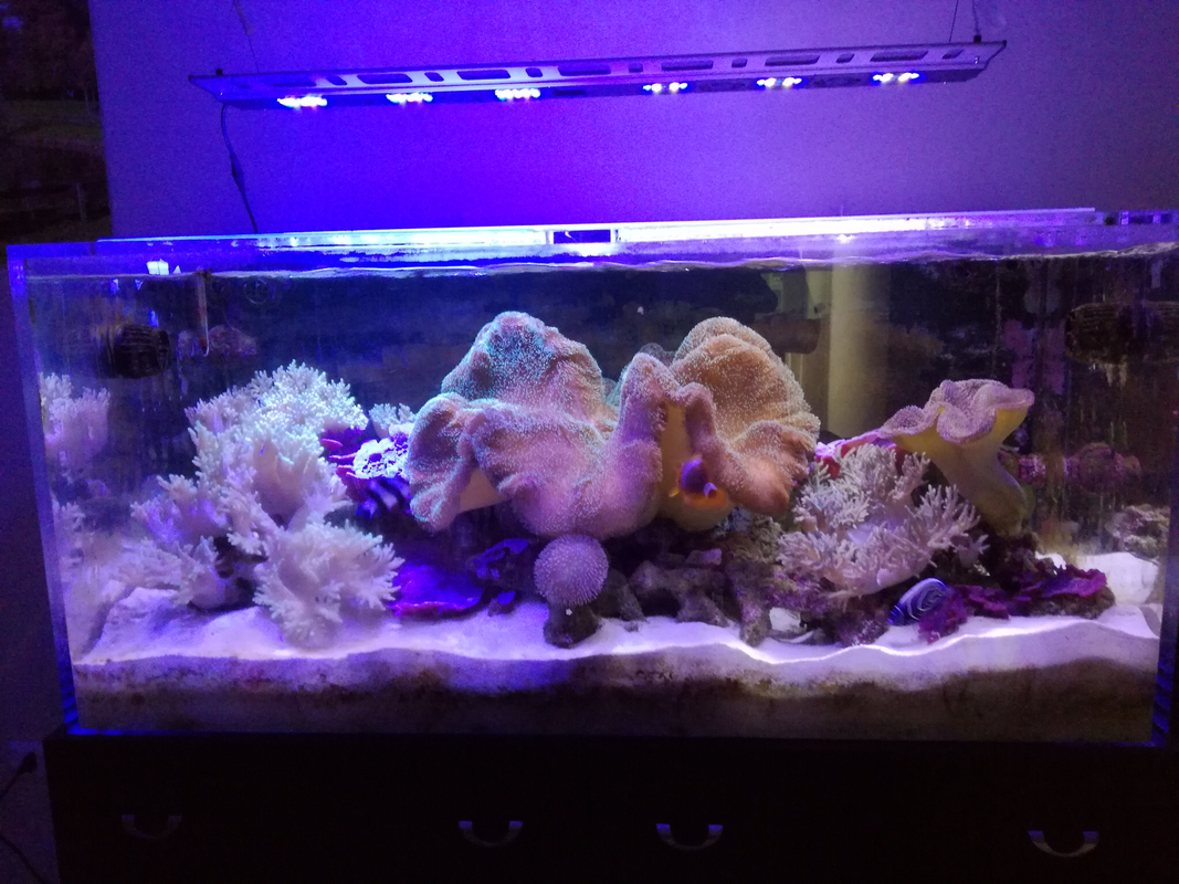 8AE55A2B-04A8-4FF7-88BE-C857F3650021