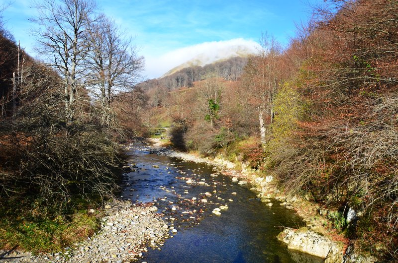 Navarra y sus pueblos-2015 - Blogs de España - Selva de Irati-14-11-2015 (84)