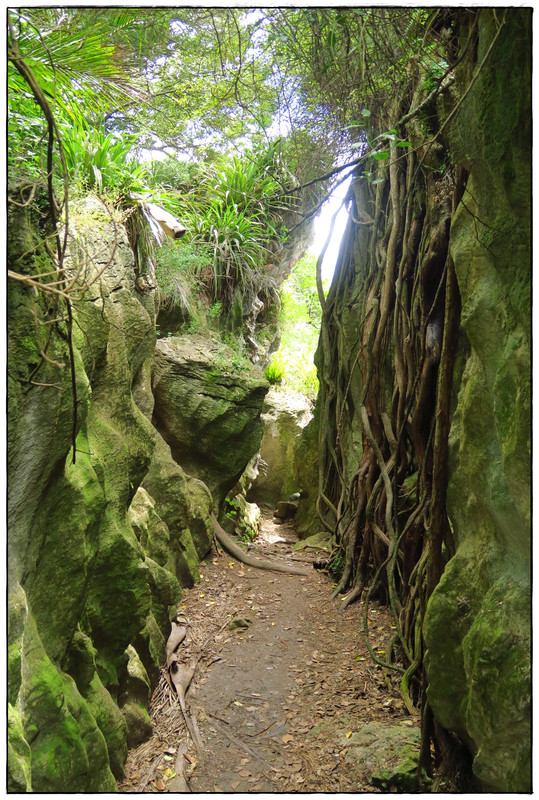 Golden Bay (Navidad 2020, II) - Escapadas y rutas por la Nueva Zelanda menos conocida (36)