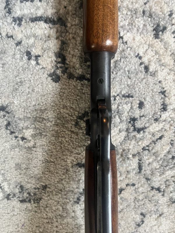 D54C17D8-C22C-4A39-B4DD-D179DECD579F