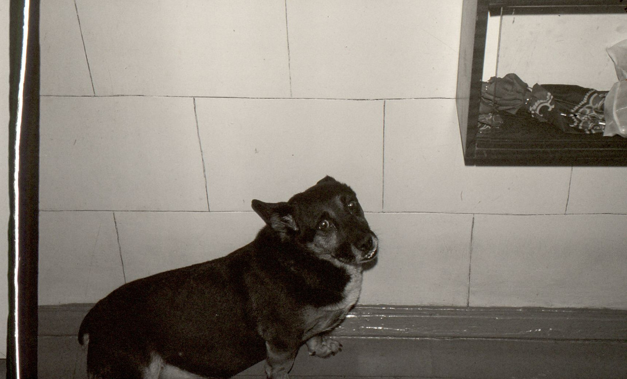 сканирование0004