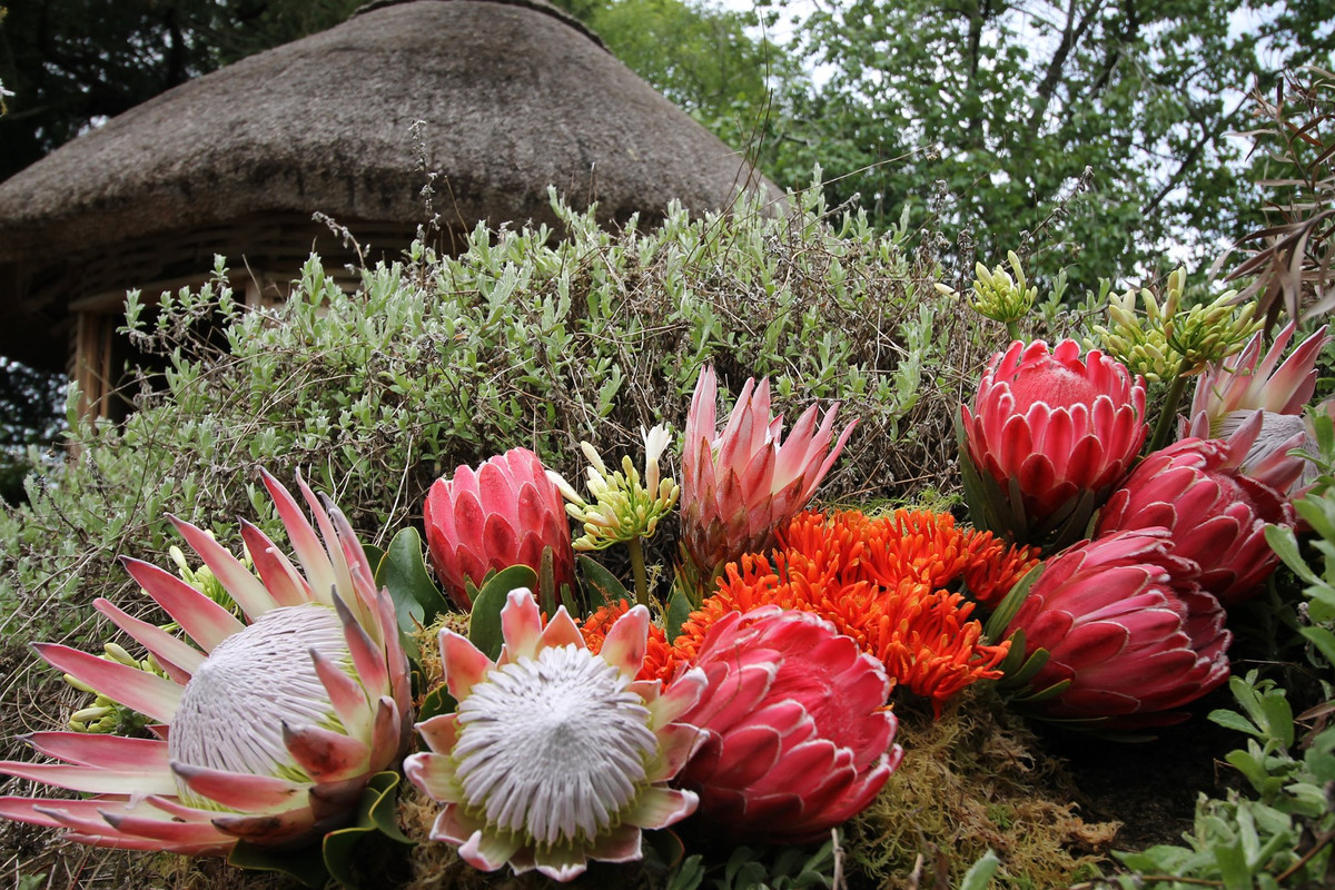 University-of-Bristol-Botanic-Garden