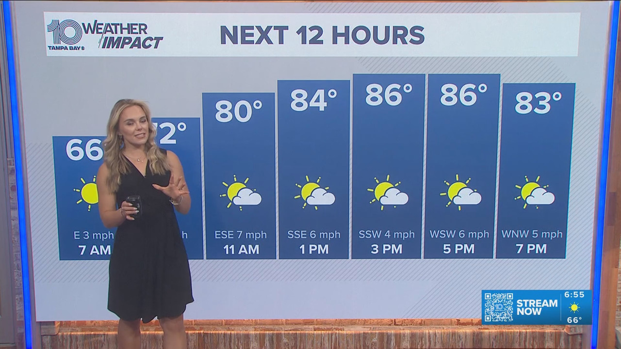 05 05 11 00 00 10 Tampa Bay News This Morning at 6 00 a m Stay i ts snapshot 00 56 50 633