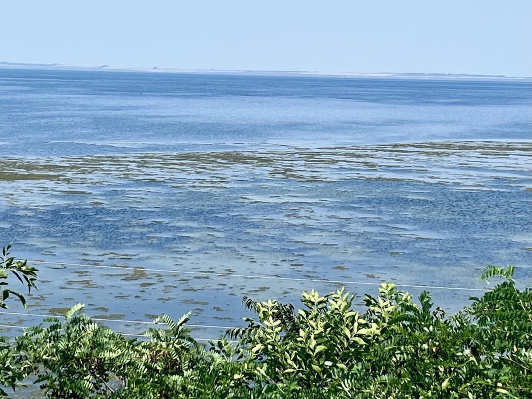 C6EFD398-42BB-4BBD-9FE8-38EDBDE3BB53