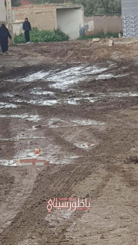 3e6f6a72-d6fc-432d-ac70-fd2f6048255b