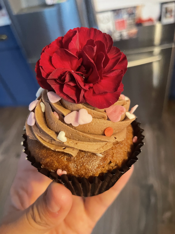 a warmly-lit photo of a chocolate cupcake with chocolate frosting, light pink heart-shaped sprinkles, and a red carnation on top.