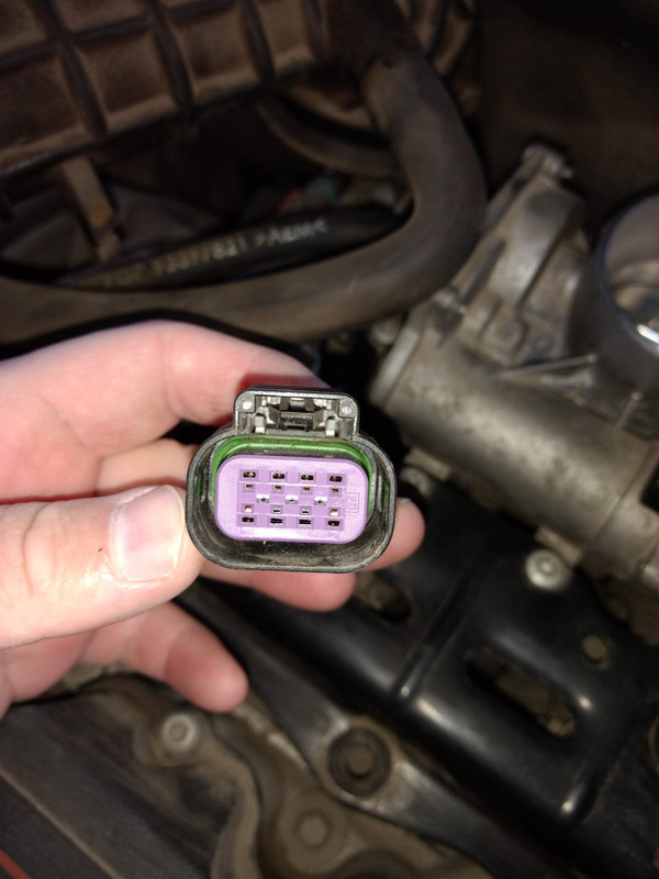 IMG_20231008_171205623