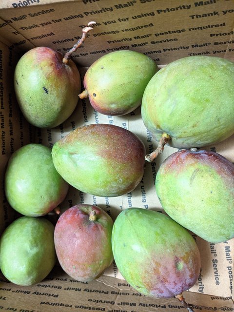 [Image: IMG-20200621-210924.jpg]