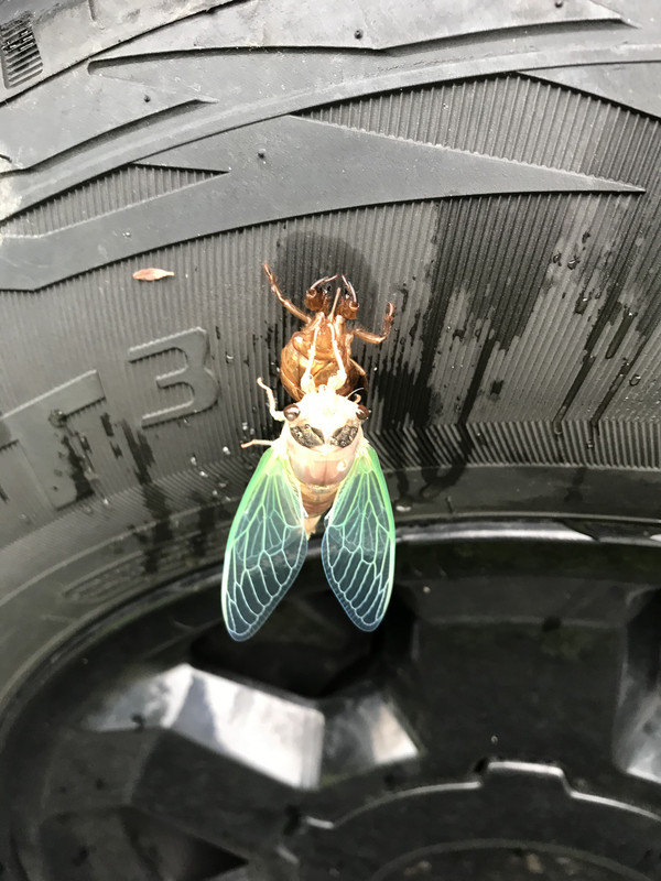 19B6CFFA-B7E7-4C8C-BEF7-72B34F44DAAE