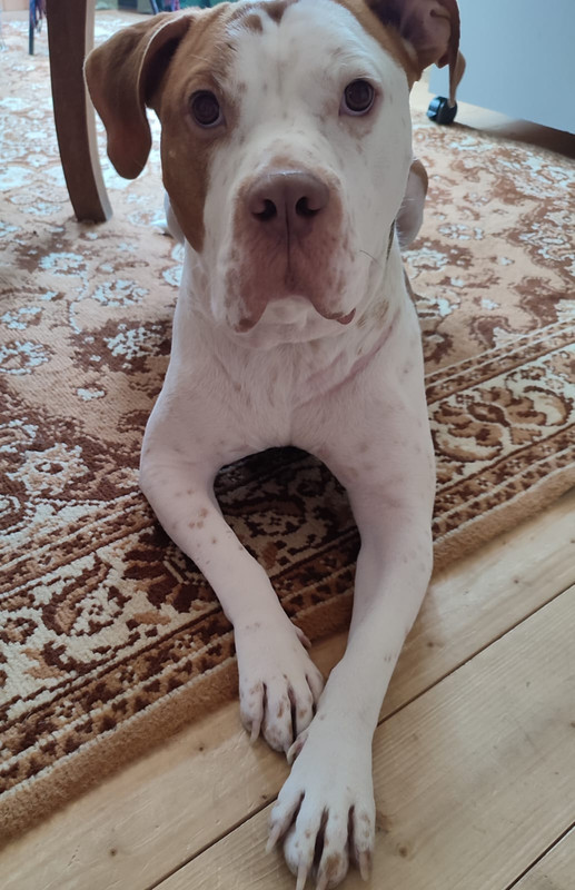 4AB4D25B-08BF-49EE-8ABE-9148C0DDBF43