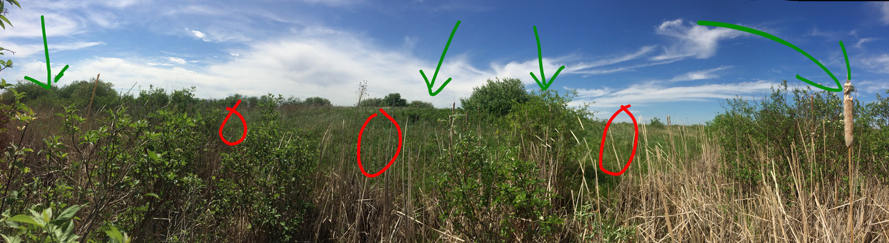 FA264794-954A-4834-A467-1790CC3FB91D