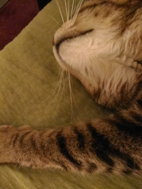 P_20191111_224214_LL