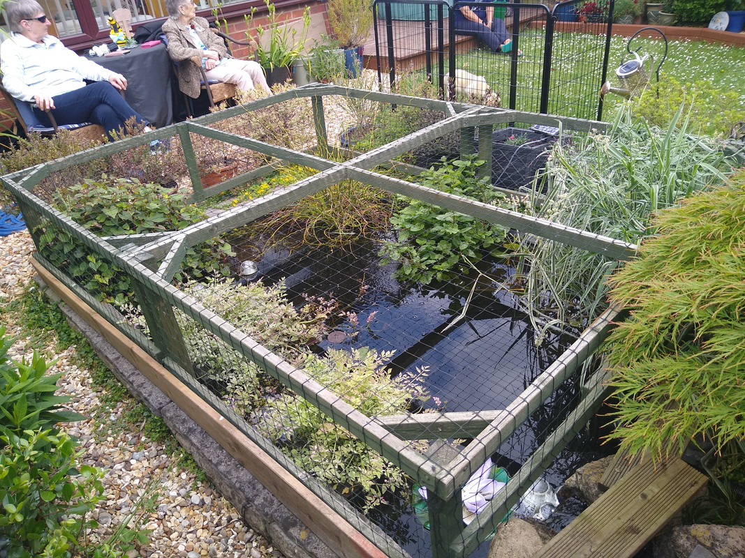 IMG_20250610_131454494