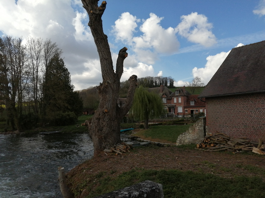 IMG_20220409_153648