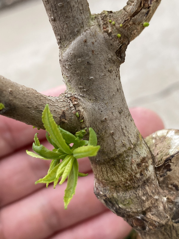 41B5B687-7196-4A46-AC0B-150B60FD05B0