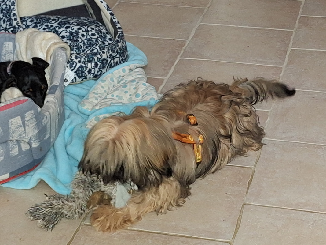 [Image: 20231230-132154.jpg]