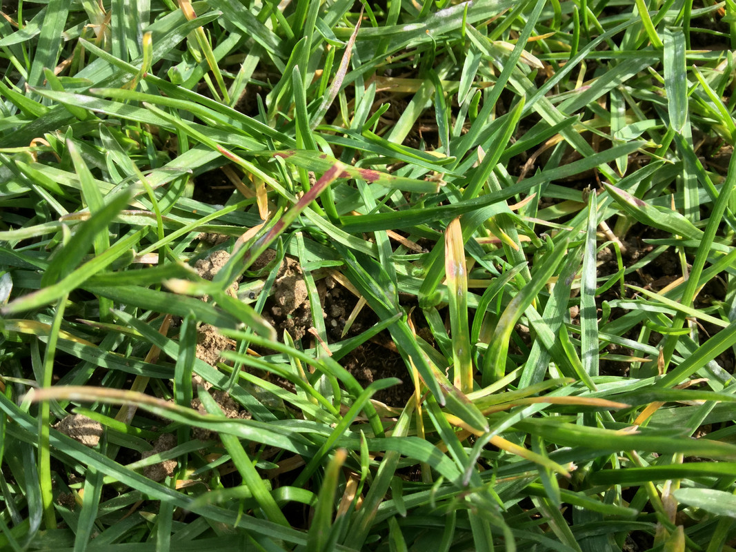 BE85C2D9-6A2E-44E2-836F-3A369E7DA901