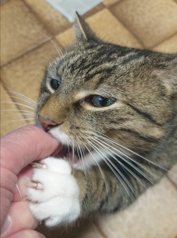 Screenshot 20260401 131953 Bluesky