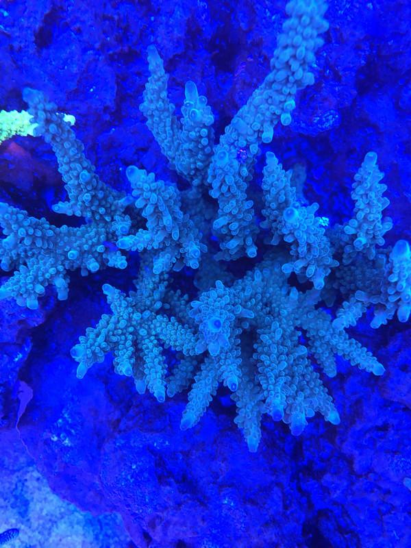 55727703-1AFF-451E-9793-4200D34E4ADB