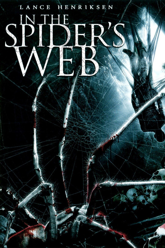 Download In the Spider’s Web 2007 WEB-DL Dual Audio Hindi ORG 720p | 480p [300MB]