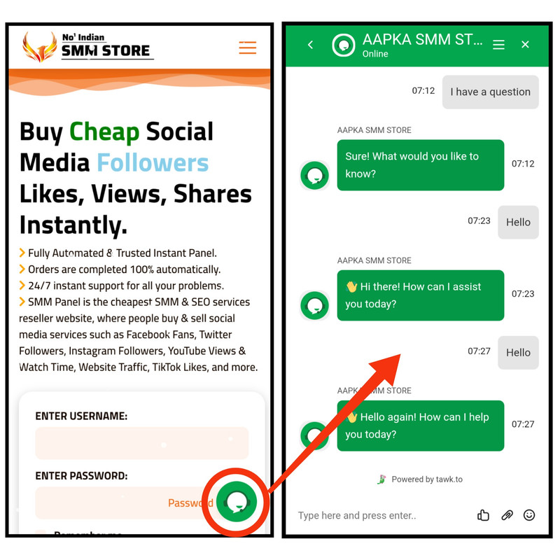 24/7 LoLo AI BOT Help 