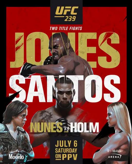 https://i.postimg.cc/3NLHC15f/UFC-239-Poster.jpg