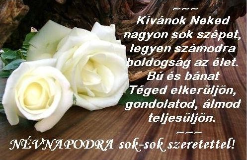 https://i.postimg.cc/3NLWrN4T/lia-boldog-nevnapot-2022-09-04.jpg