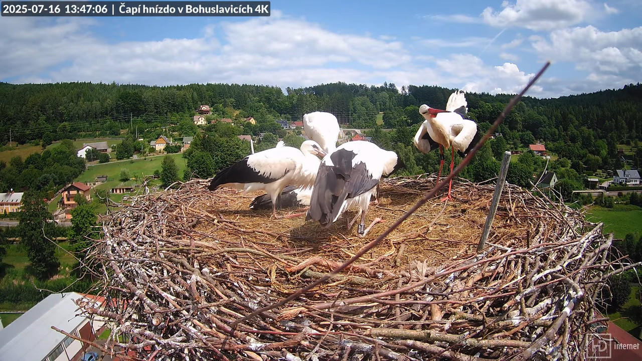 Tiešraide no KARA uzņēmuma stārķu skursteņa Bohuslavicē netālu no Trutnovas 4-25-20 screenshot