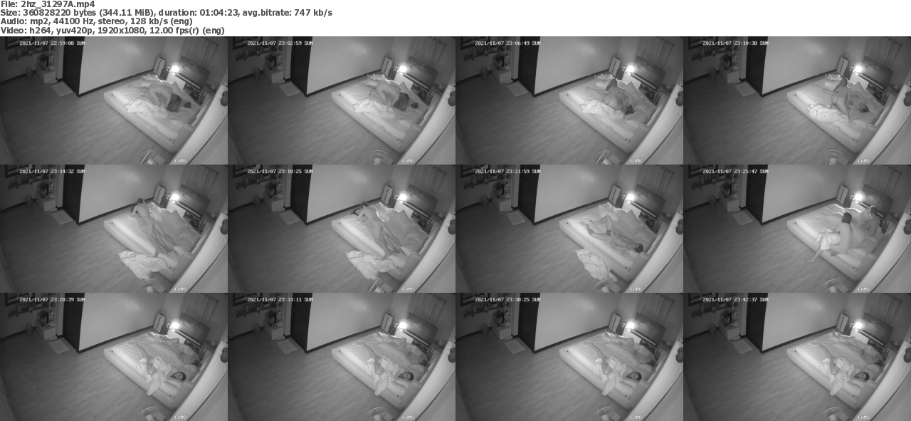 08112022002855screenshot