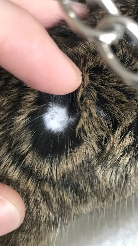 9E3D5A41-4E7A-49D7-86B9-BFE4A7CADFAF