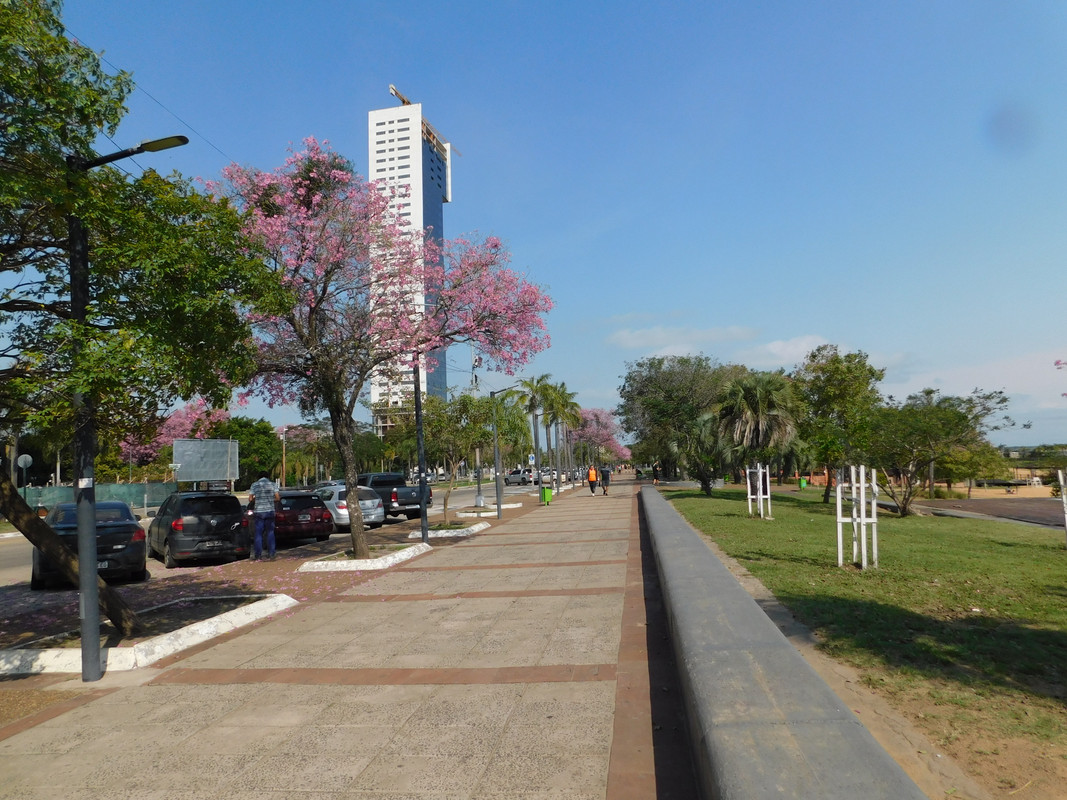 DSCN0242.jpg
