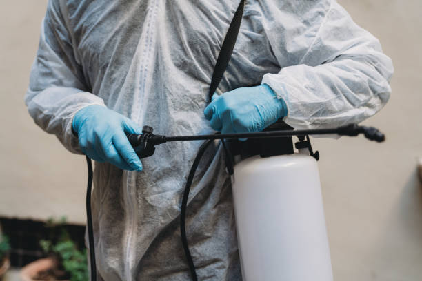 Pest Control Kissimmee