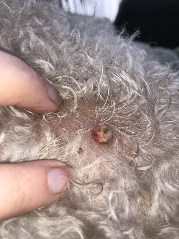 2F32DC93-A25F-4E65-A194-754C5F00768B